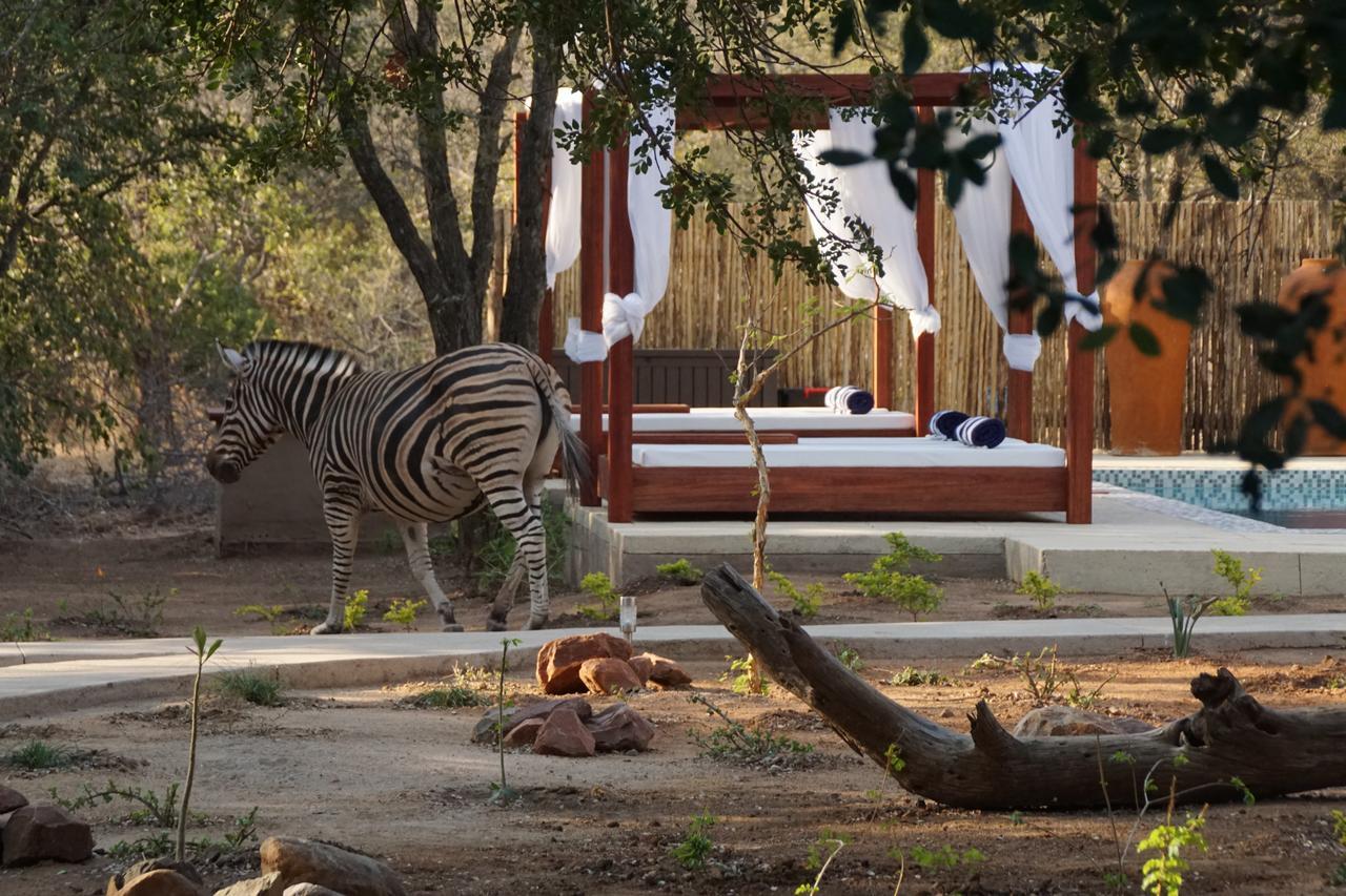 Bushbaby River Lodge Hoedspruit Kültér fotó