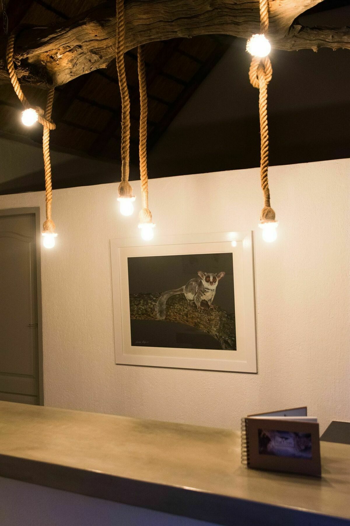 Bushbaby River Lodge Hoedspruit Kültér fotó